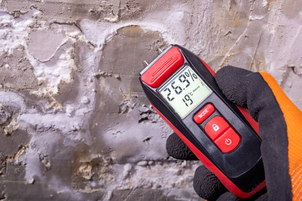 Best Post-Remediation Services in Bradley Gardens, NJ