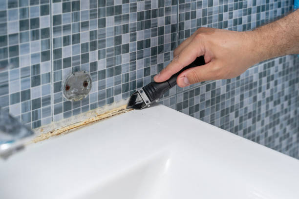 Best Mold Testing and Inspection Services in Bradley Gardens, NJ