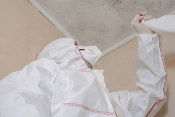 Best Kitchen Mold Remediation in Bradley Gardens, NJ